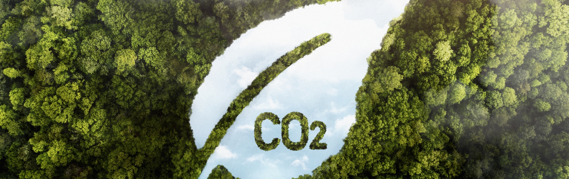 Sürdürülebilirlik